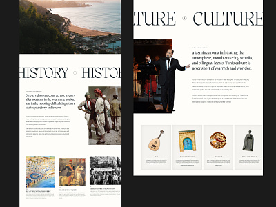 Into Tunisia — History & Culture Sections design homepage layout typography ui ux web website