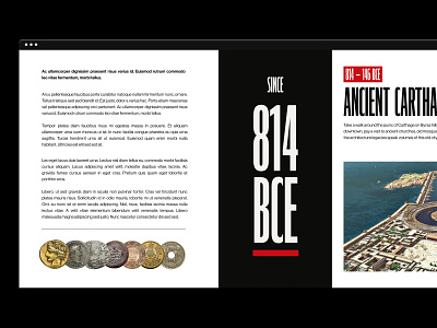Tunisia — History 02 branding design editorial experience illustration interaction logo motion story typography ui ux web website