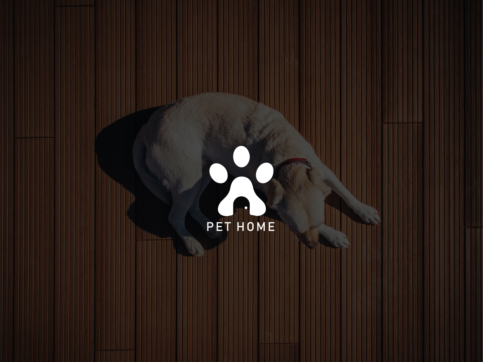 Pet Home Logo Propose For A New Brand By Vectoryzen On Dribbble   2d1acf0722bf4a80f0a6df9aac08b2e4 