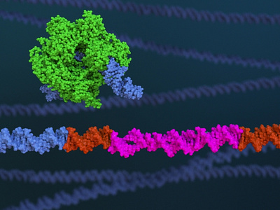 Caspir cas9 medical and molecular animation