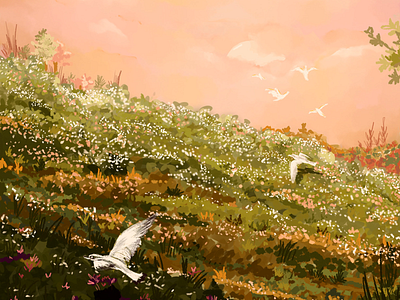 Full blooms in the golden hour 🌸🌸 blooms garden grasslands illustration photoshop warm tones