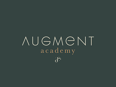 Augment Academy brand design branding design digital art illustration logo logodesign music typography vector