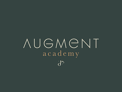 Augment Academy