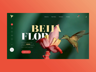 UI Concept - HummingBird | Beija-flor beija-flor designer hummingbird ui uidesign uidesigner uiux user interface design userexperience userinterface ux uxdesign uxdesigner webdesign