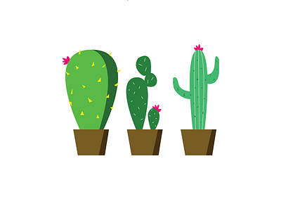 Desert flowers cactus illustrator vectorial