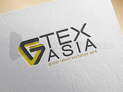 2 graphic design illustrator logo design