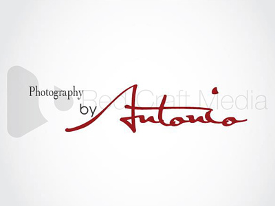 49 graphic design illustrator logo design