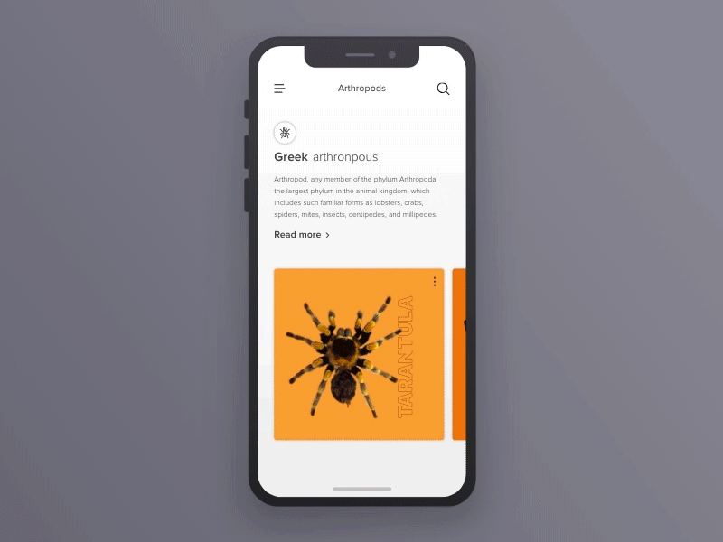 Entomology App animation app design flat ui