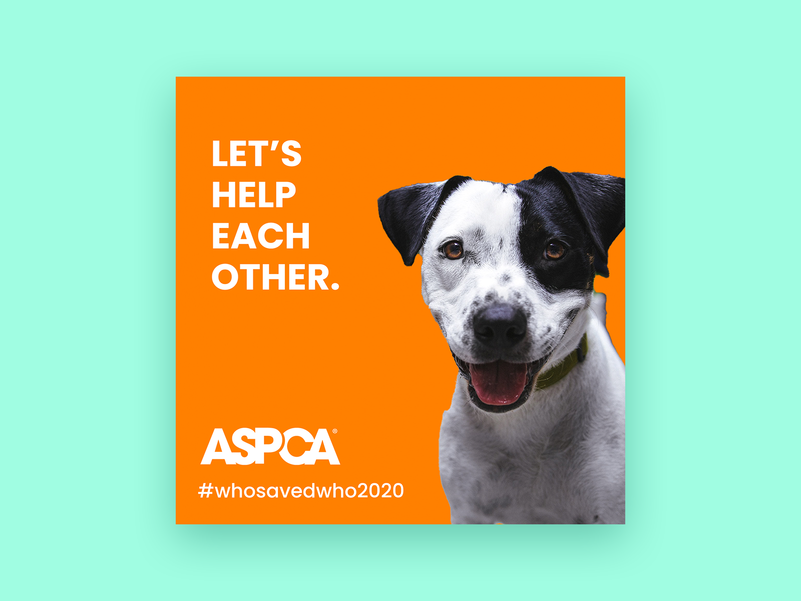Creative Exercise ASCPA Social Campaign by Arielle Dragonas for Imarc