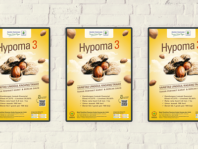 Poster new peanut varieties HYPOMA 3 for ILETRI advertising agriculture poster print
