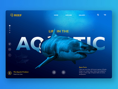 Aqua Reef - Life in The Aquatic (Landing page concept)