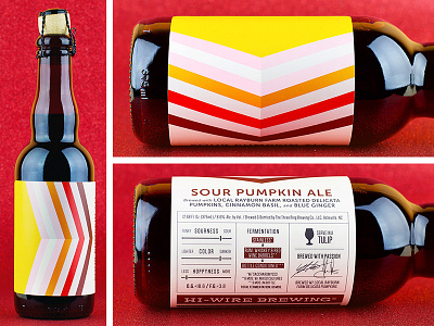 Hi-Wire Sour Pumpkin Ale beer bottle colorful infographic label pattern pumpkin simple