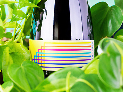 Hi-Wire Oude Brett Saison beer bottle colorful label packaging pattern saison sexy simple