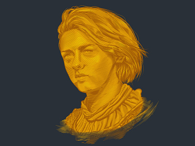 Arya Stark etching game of thrones illustrator portrait stark