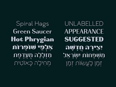Reaffix Project - Hebrew-Latin Font Family branding design font design font family hebrew type logo typedesign typeface typeface design typography