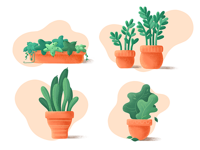 Plants set🌱 flat flower green plant plants set web