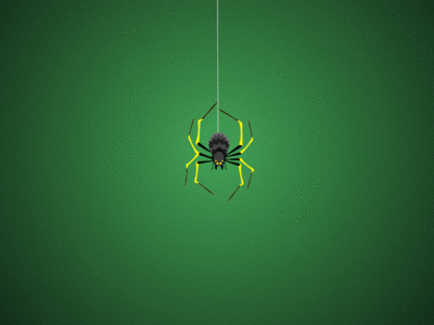 golden orb weaver 2d after effect animation bug spider web