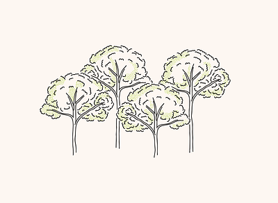 Trees illustration procreate trees