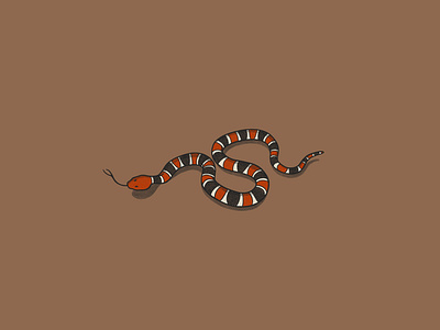 Coral Snake illustration procreate snake texas texture