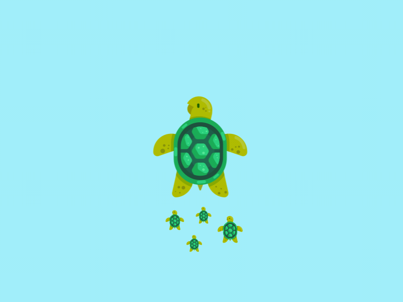 Sea Turtles after effects animation animation after effects illustration loop loop animation sea swimming turtles