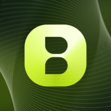 BayFi Design®