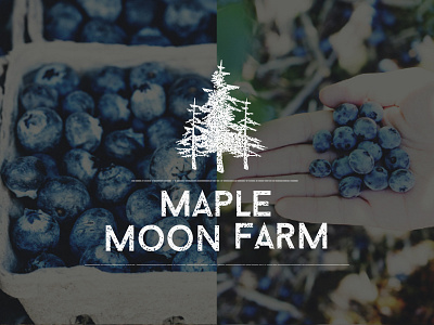 Maple Moon Farm Logo