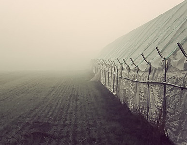 Greenhouse architecture denmark eerie epic fog greenhouses landscape mist morning photography