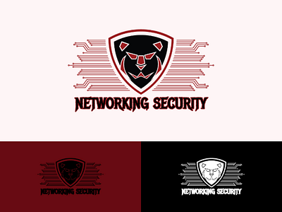 Networking Security