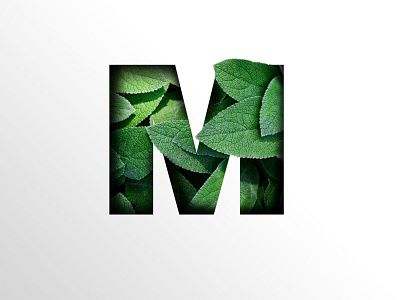 Letter M design green nature photomanipulation photoshop sage typography