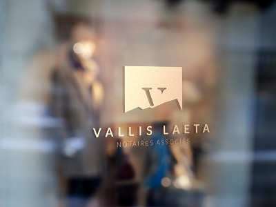 Logo Design VL