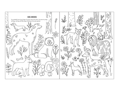 Evolution Colouring and Activity Book activity animal book breed children colouring design dog edition illustration kids line art print publication science