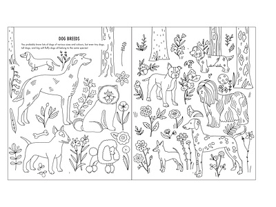 Evolution Colouring and Activity Book