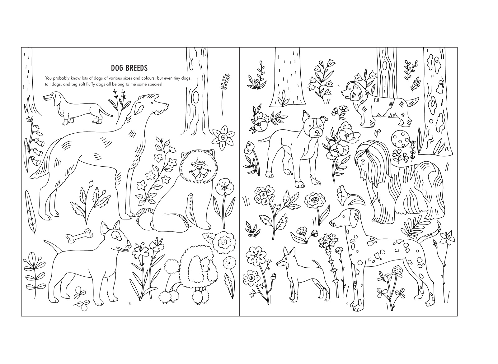 Evolution Colouring and Activity Book by Iglika Kodjakova on Dribbble