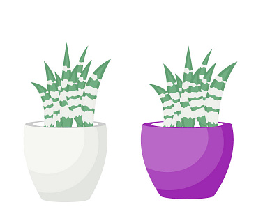 Succulent illustration plant succulent ui