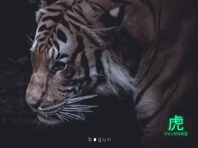 The Tiger [虎] animation bigun digital dribble fantasy art tiger visual art