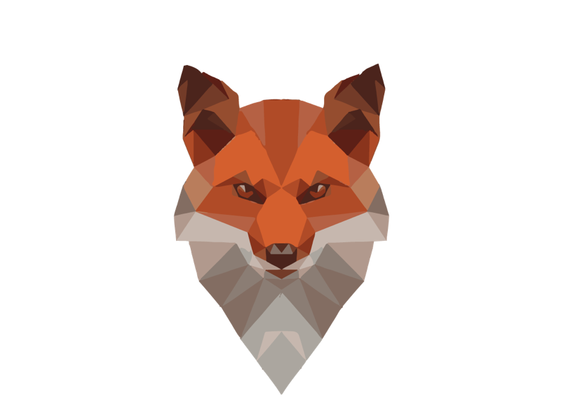 Illustrated Fox by Yash Hirani on Dribbble