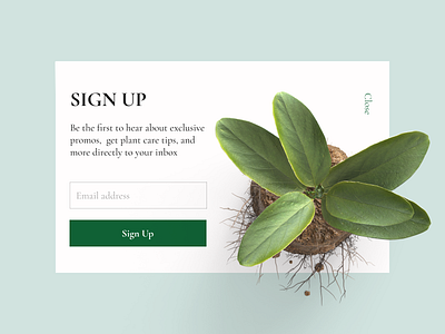 Daily UI, #001 daily daily 100 challenge green plant signup form ui