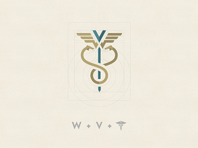 WV - Accounting office accounting branding caduceus graphic design logo logotype