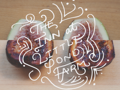 The Inn at Little Pond Farm fig food hand illustrator lettering photography