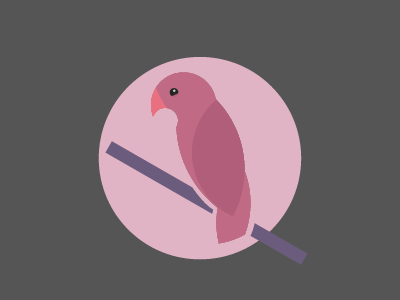 parrot illustration badge bird icon illustration illustrator parrot pink rails rumble