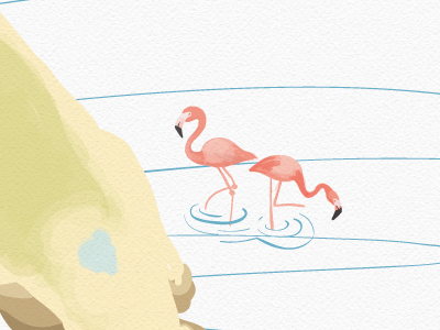 Illustration / Oh, Florida flamingo florida green illustration pink water watercolor