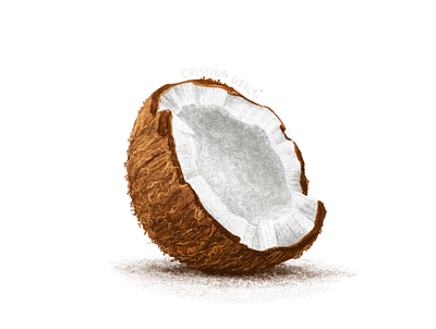 Coconut brown coconut drawing illustration procreate relaxing white