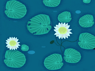 Fish in pond animation design fish gif graphic illustration lotus pond rever water