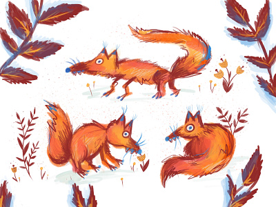 Foxes