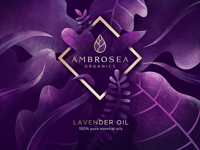 Ambrosea