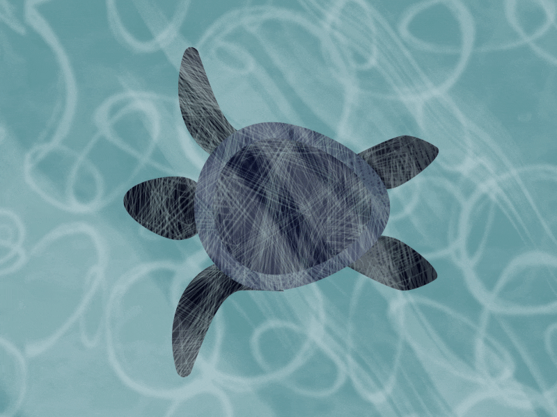 Turtle graphic illustation illustrator motion graphic sea sealife texture turtle