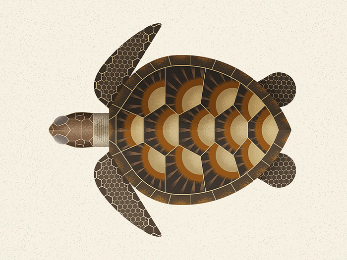 Green Sea Turtle By Nature Press On Dribbble