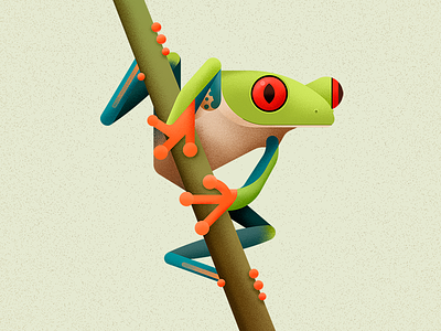 Red Eyed Treefrog amphibian animal biodiversity frog illustration vector