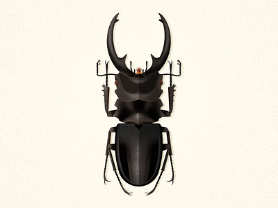 Odontolabis Intermedia beetle biodiversity bug coleoptera design illustration insect odontolabis vector wildlife