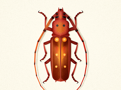 Longhorn Beetle animal beetle biodiversity bug coleoptera design illustration insect longhorn vector